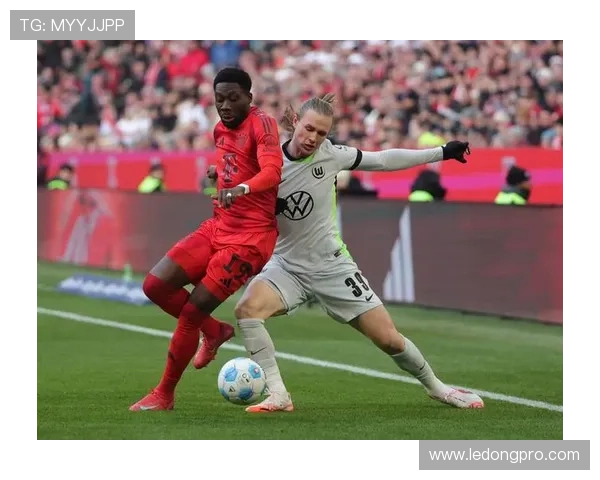 德甲联赛中有哪些顶尖足球球队详解